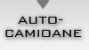 AUTO-CAMIOANE