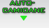 AUTO-CAMIOANE