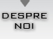DESPRE NOI