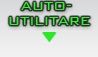 AUTO-UTILITARE